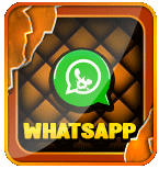 WHATSAPP BASKET168