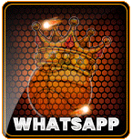 WHATSAPP BASKET168